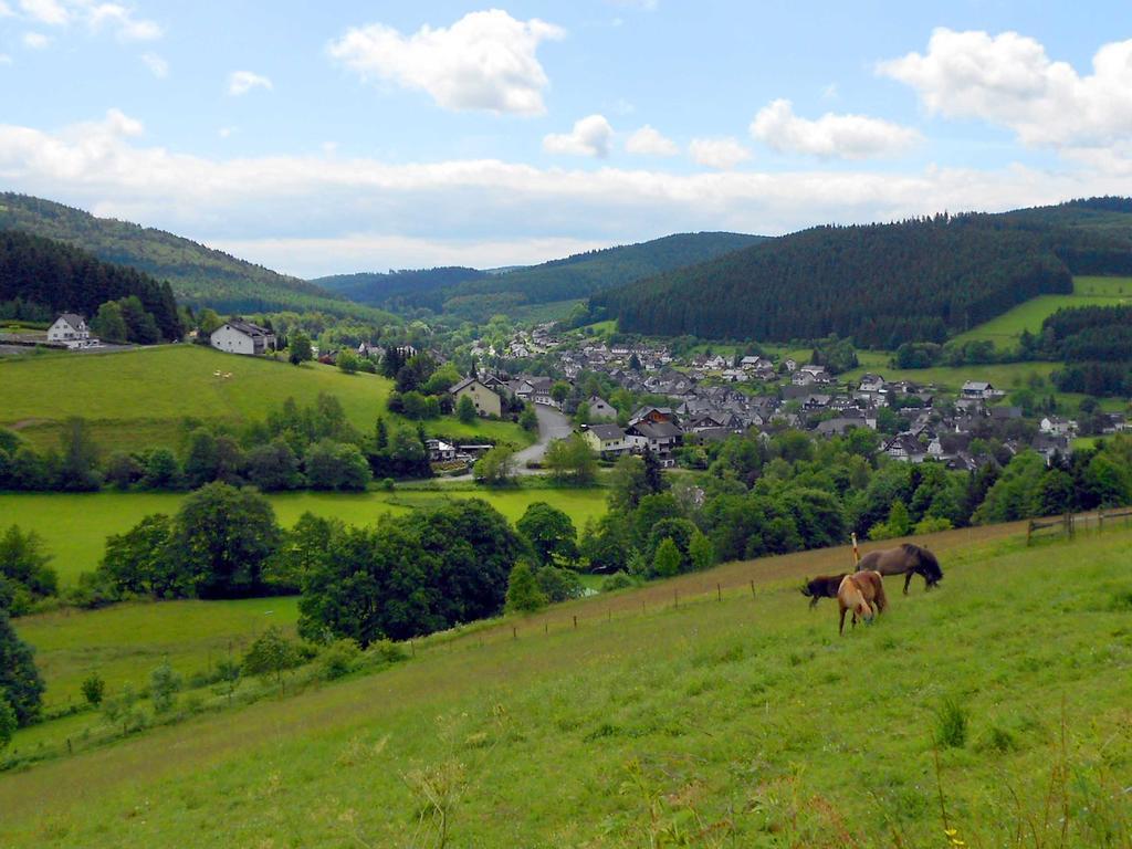 Hotel Niedersfeld-Winterberg Exteriér fotografie